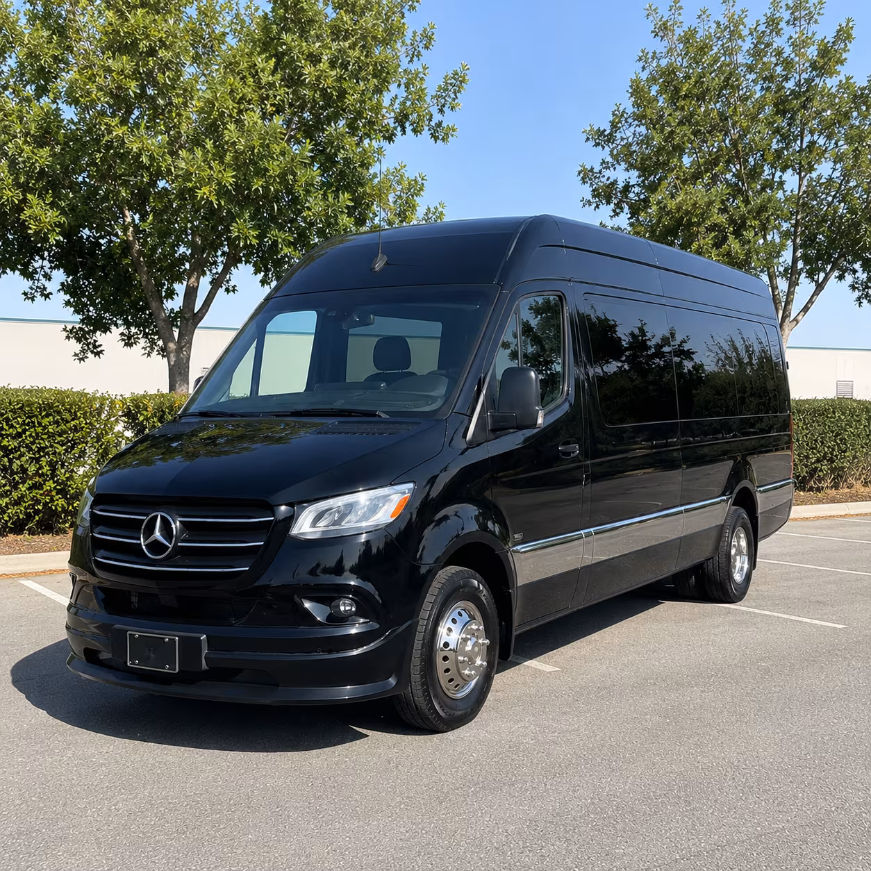 houston birthday party transportation onboard seating